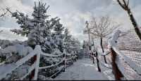 松鳴岩滑雪場