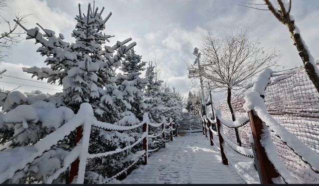 松鳴岩滑雪場