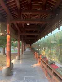 探秘千年古韻，感受儒家文化之美
