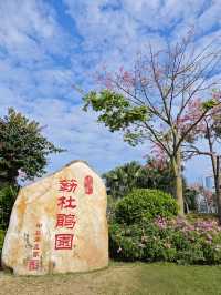 5日帶娃暢遊廣州-珠海超詳細攻略來啦