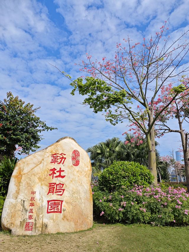 5日帶娃暢遊廣州-珠海超詳細攻略來啦