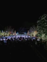 Toronto Wonderland Winterfest is as Beautiful as a Fairy Tale 🎄