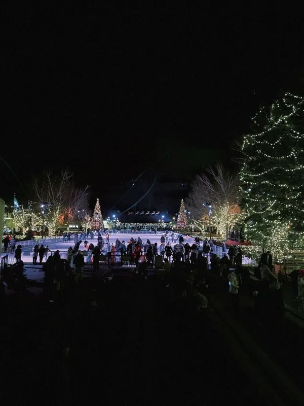 Toronto Wonderland Winterfest is as Beautiful as a Fairy Tale 🎄