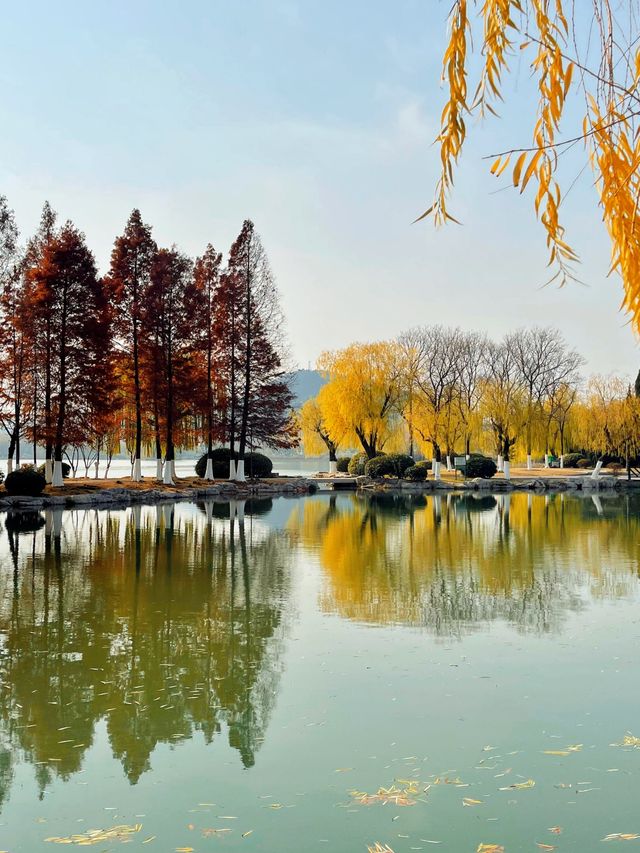 徐州雲龍湖——秋冬美景之約！