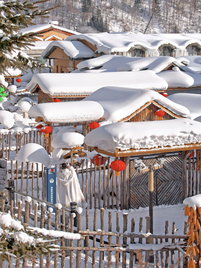 去雪鄉之前冇人同我講，呢度嘅"坑"比雪仲深