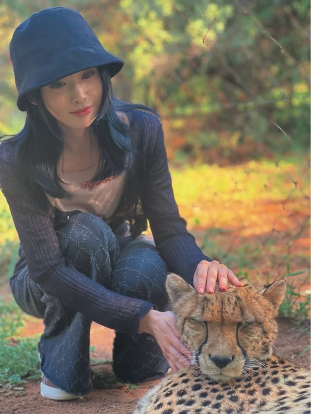 【約翰內斯堡 plog】神奇動物在哪裡