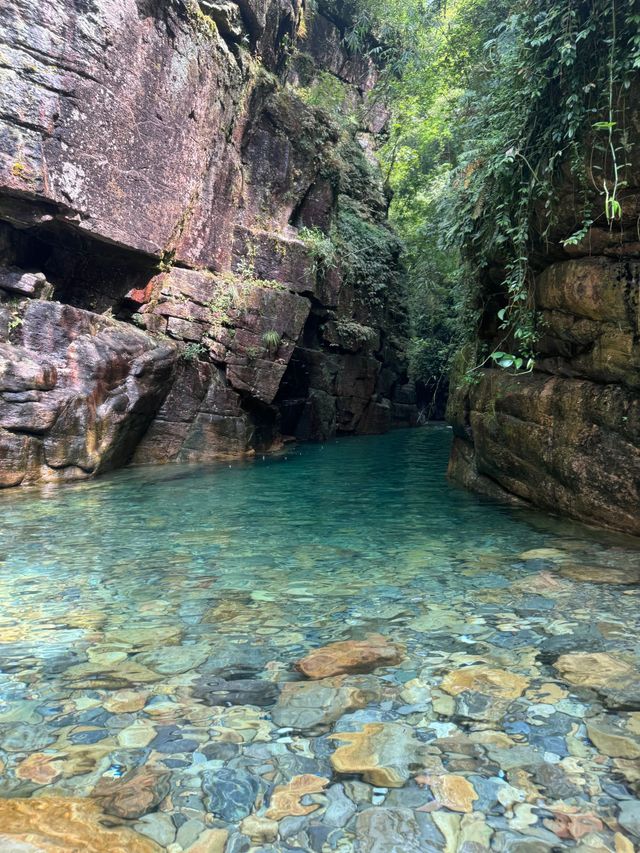 江西南昌-廬山-景德鎮5日遊攻略大揭秘必玩清單