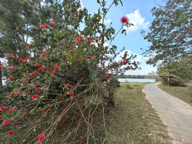 海南第一家湖泊型國家濕地公園--南麗湖國家濕地公園