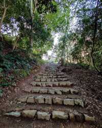 解鎖米子市，邂逅米子城遺跡的小眾浪漫