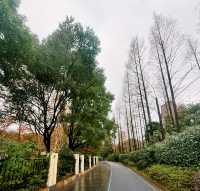 迎春本地遊｜市中心難得的大片綠地——人民公園