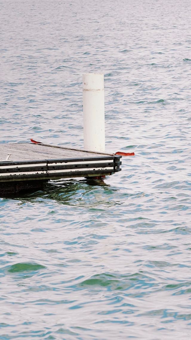 上海看海平替 | 滴水湖