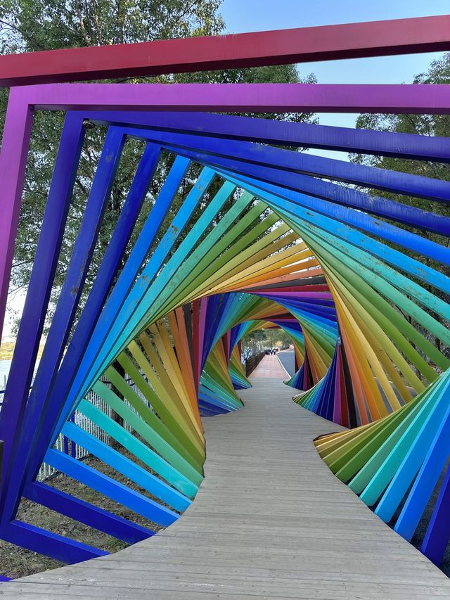 3日探秘阿勒泰 森林之旅等你來