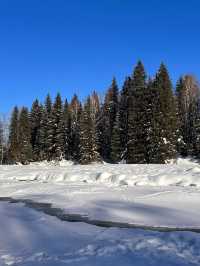 3日探秘阿勒泰 森林之旅等你來