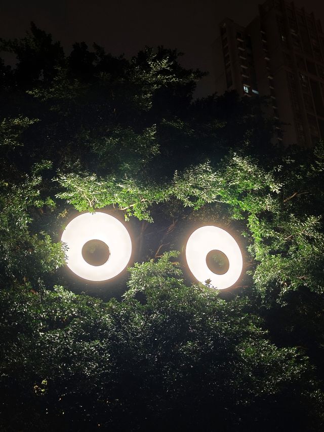 親測鐵像寺水街燈會真沒必要特地去
