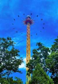 NJ Six Flags Adventure Guide and Review (For the Brave)