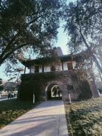 小雁塔遺址公園的一天