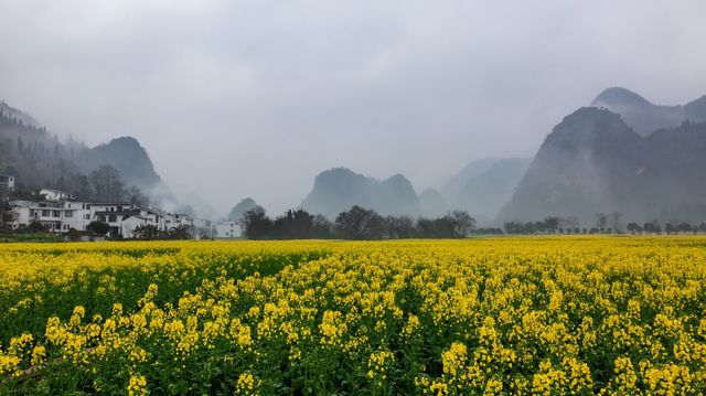 春天，又見萬峰林