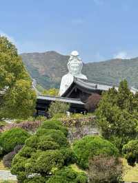 在香港慈山寺！免門票打卡攻略請收下！