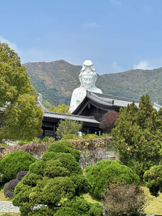 在香港慈山寺！免門票打卡攻略請收下！