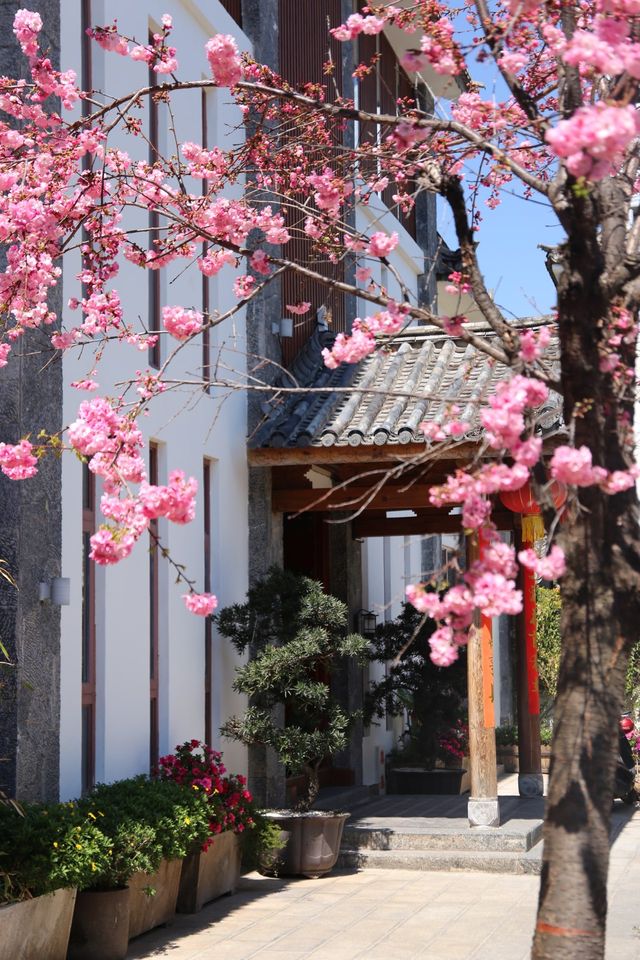 溫馨如家,這家酒店有您專屬的主臥! 溫馨如家,這家酒店有您專屬的主臥!