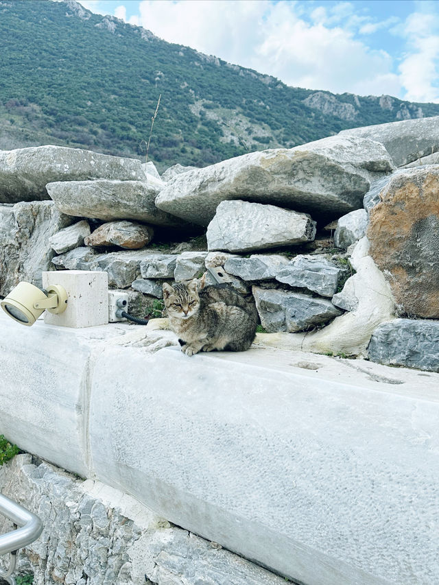 愛琴海第一景點：聖經名城「以弗所古城（Ephesus）」