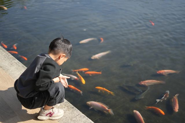 海南親子酒店真實評價