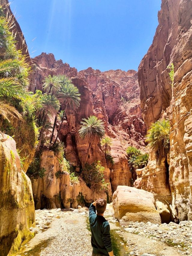 Wadi Ghuweir Oasis: A Hidden Gem in Jordan 🌿✨