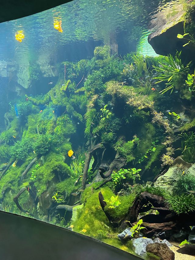 亞洲最大的上海溫室花園