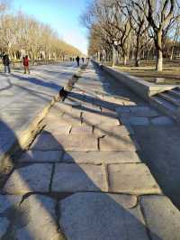 世界文化遺產北京中軸線景觀
