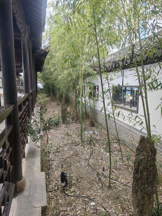 上海必到打卡地：川沙古鎮，魔都江南水鄉！