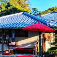 🌸闖入福岡大濠公園·日本庭園，邂逅和風雅韻
