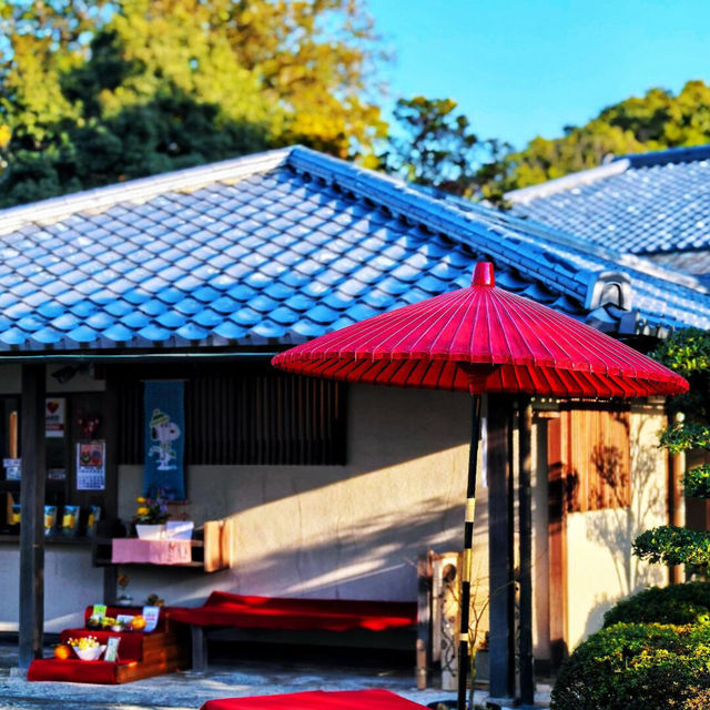🌸闖入福岡大濠公園·日本庭園，邂逅和風雅韻