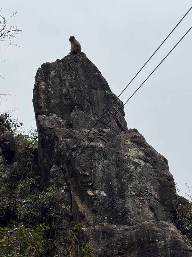 藥王山  願除病除災