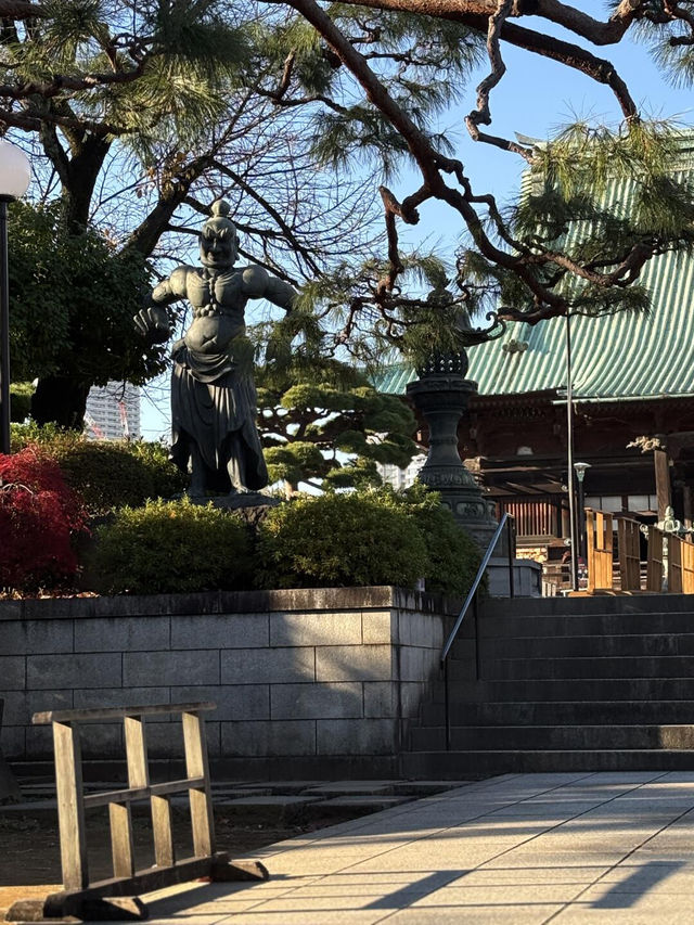 東京護國寺 | 鬧市中的清幽古剎🎐