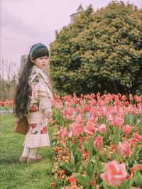 3月中旬不要錯過上海市區的這片鬱金香花海
