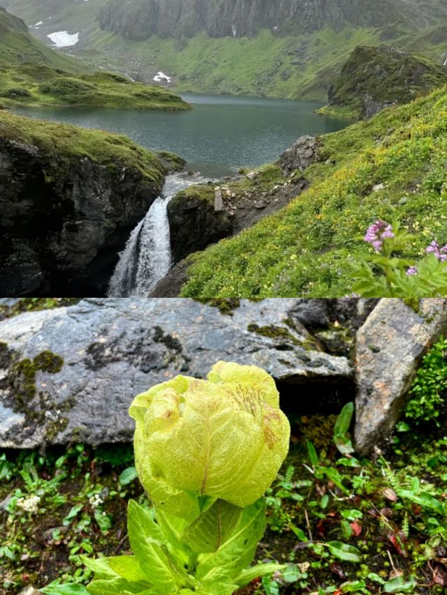 嘩，雲南竟然還有這樣一個地方，家人們。