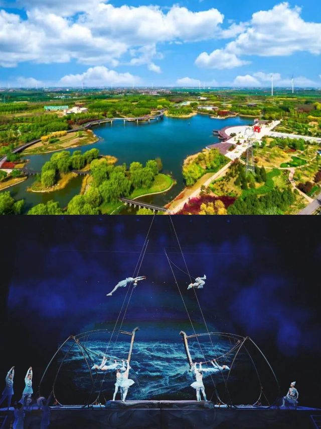 河南濮陽：華夏龍都的魅力之旅