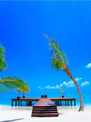 United States | 6-day mini-vacation guide, come here
