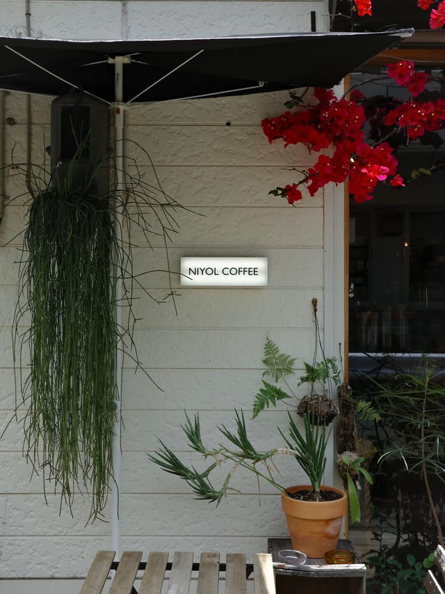 福岡探店 | 邂逅福岡今年最美咖啡店，愛了愛了🌺