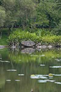 瓊中濕地公園——自然與詩意的邂逅