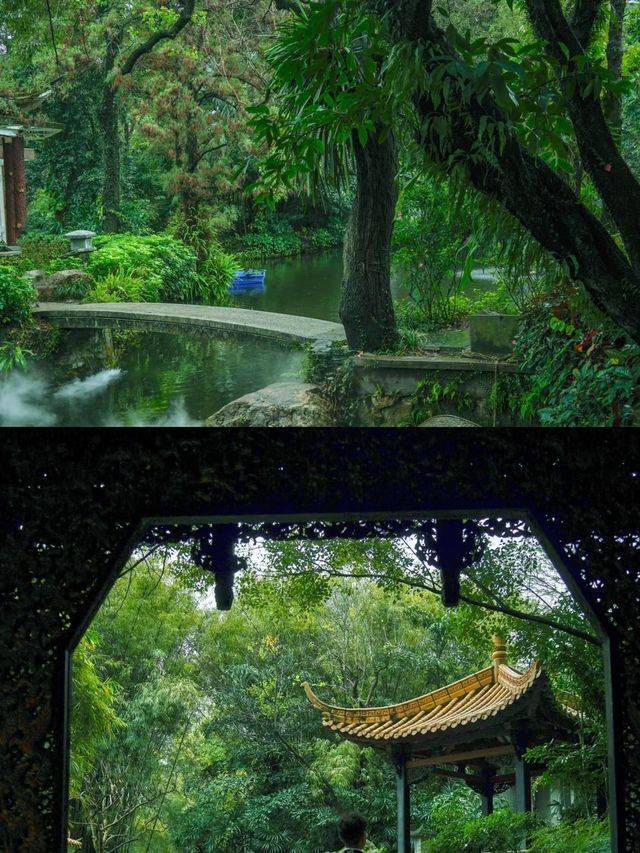 陰雨天的廣州蘭圃真的是人間理想！