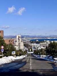 7日清明遊 日本賞花正當時