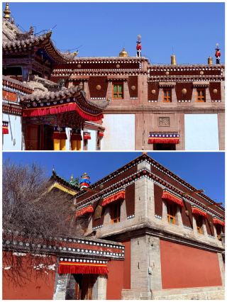 Back from Xining, here's the honest truth! I came to this city because of a song.