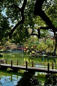 讓乾隆念念不忘的寄暢園，難怪成了春晚分會場