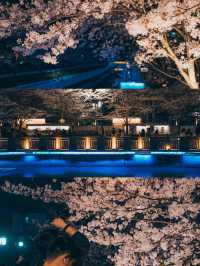 春天去南京，推薦這條賞櫻citywalk