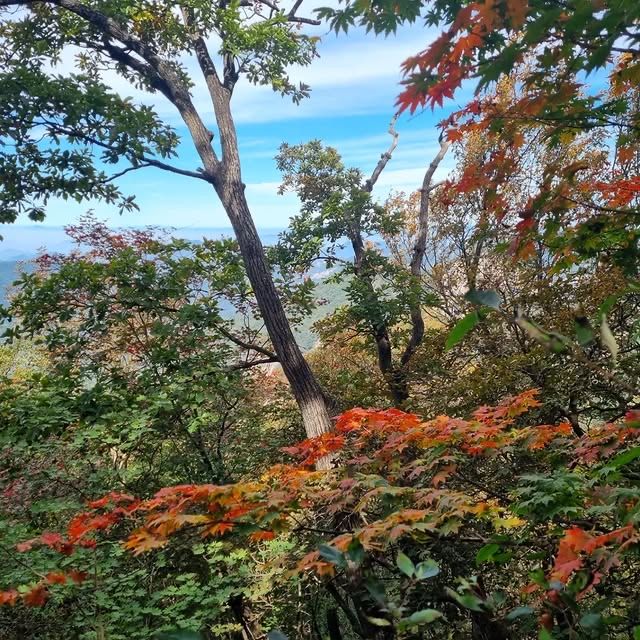 韓國聞慶市 鳥嶺山—攀登雲霧繚繞的韓劇仙境！