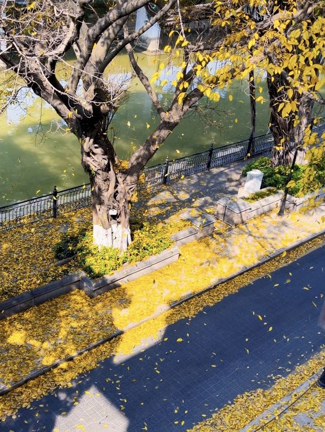 廣州親子遊全攻略玩轉羊城不迷路