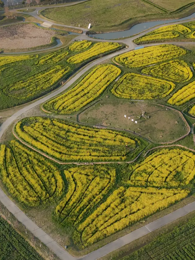 Spring Equinox Exclusive: Nanbei Lake's picturesque flower sea is a must-see!