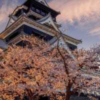 🔥九州櫻花季3.20-4.10，錯過等一年！
