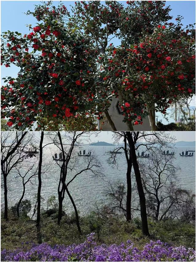 反傳統春遊指南 解說新玩法